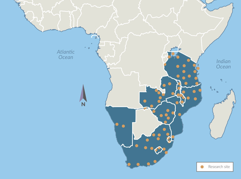 Southern and eastern African regional sites where data on heroin prices and quality was gathered
