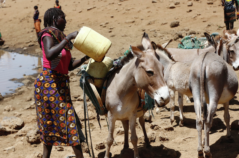 A woman loads a donkey with water in Kenya’s Baringo county, July 2019.
