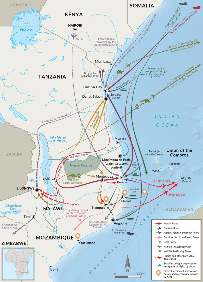 Illicit flows through northern Mozambique as of February 2021.
