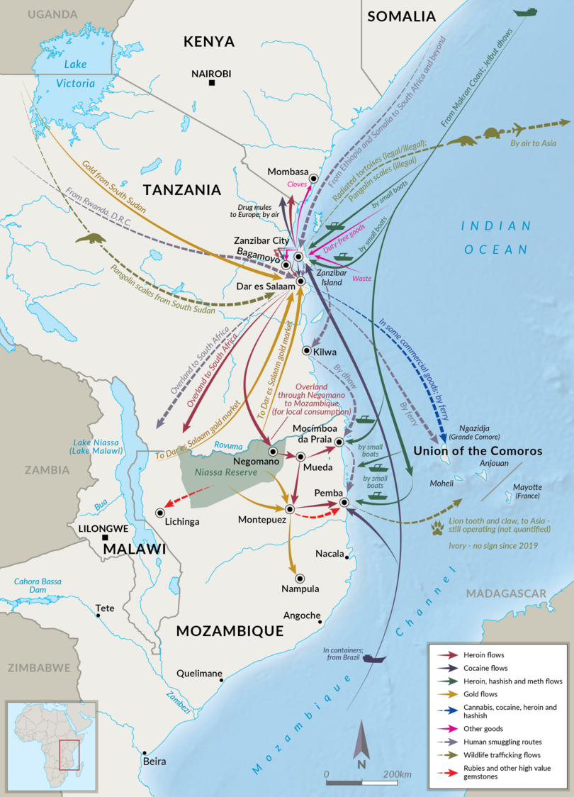 Illicit flows through northern Mozambique as of June 2020.
