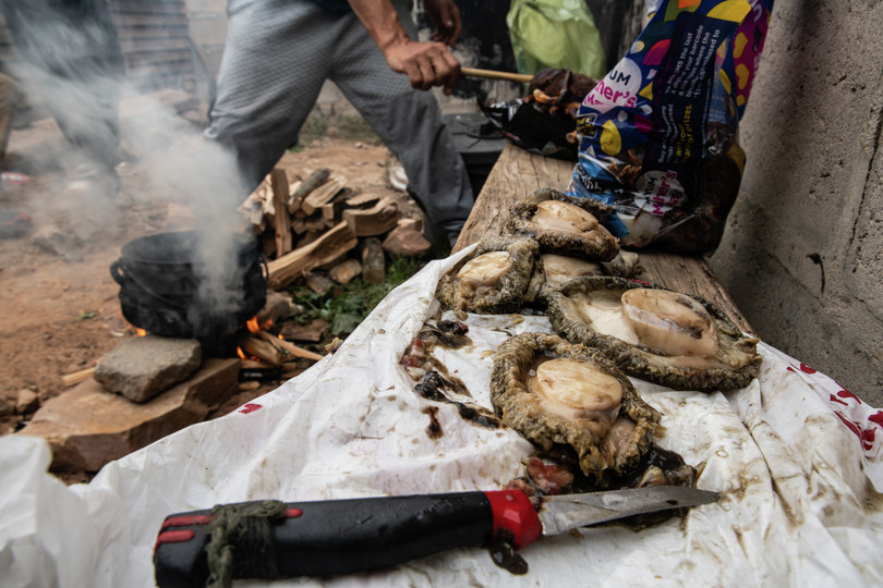 Abalone is prepared for cooking at Hangberg, a poaching hotspot on the Western Cape coast.
