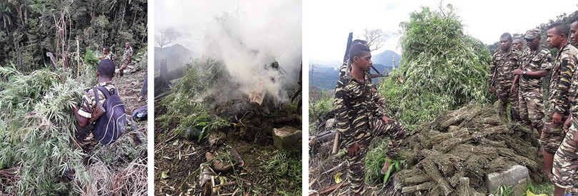 Madagascar’s Gendarmerie Nationale carry out an operation to destroy cannabis fields in Analabe, Ambanja district, in the north of Madagascar. In this operation, which took place in July 2020, over 100 hectares of cannabis were burned and more than a dozen cannabis farmers were arrested.
