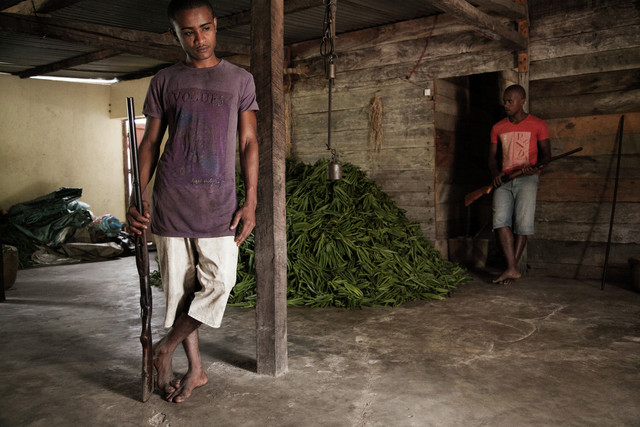 madagascar-s-vanilla-industry-has-become-a-magnet-for-corruption-money