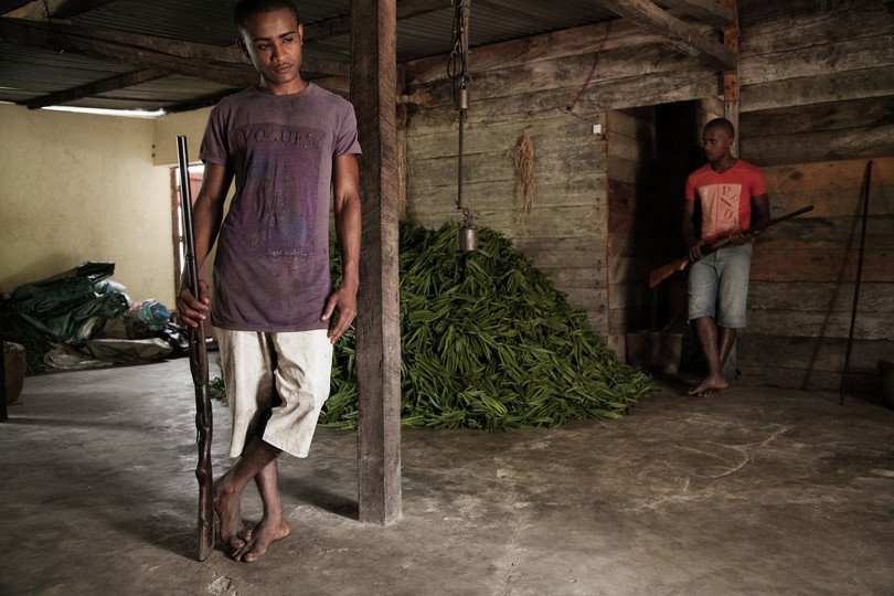 Armed guards protect harvested vanilla in the municipality of Bemalamatra, near Madagascar’s northern Sava region. The region is the centre of vanilla production in the country and has been affected by organized thefts and criminality affecting the vanilla market in recent years.
