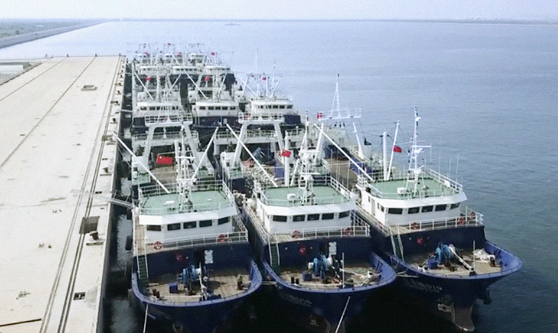 Liao Dong Yu trawlers at port in China.
