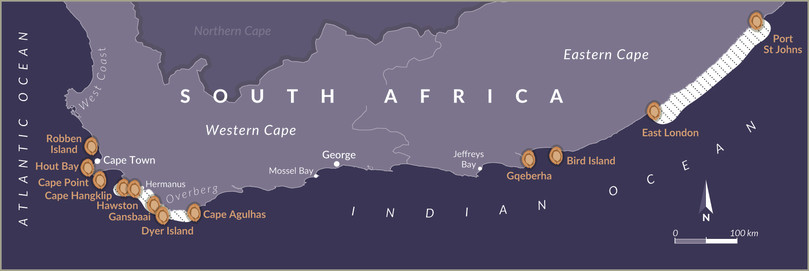 Global routes of illicit abalone trade and abalone poaching territory in the Western and Eastern Cape provinces, South Africa.
