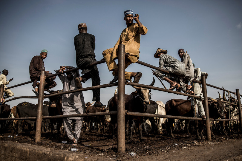 Hausa Fulani pastoralists at a cattle market.
