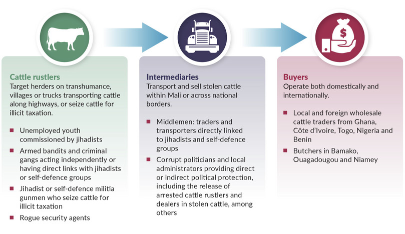 Stolen-cattle supply chain involving local and foreign actors.
