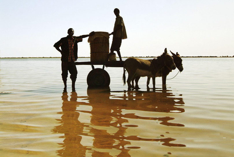 Le long du fleuve Niger entre Niafunke et Youwarou, au Mali. Les niveaux de vol de bétail sont beaucoup plus faibles à Youwarou que dans d’autres cercles voisins, en grande partie grâce à la présence et au contrôle consolidés de la Katibat Macina.
