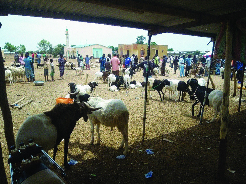 The Cinkassé cattle market in Togo is a key example of efforts to reform markets previously exploited by illicit actors.

